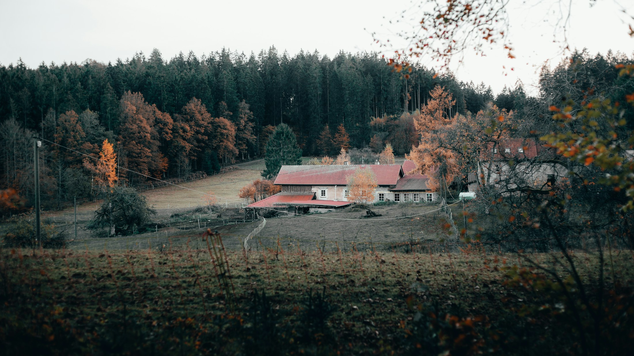 Mechernich