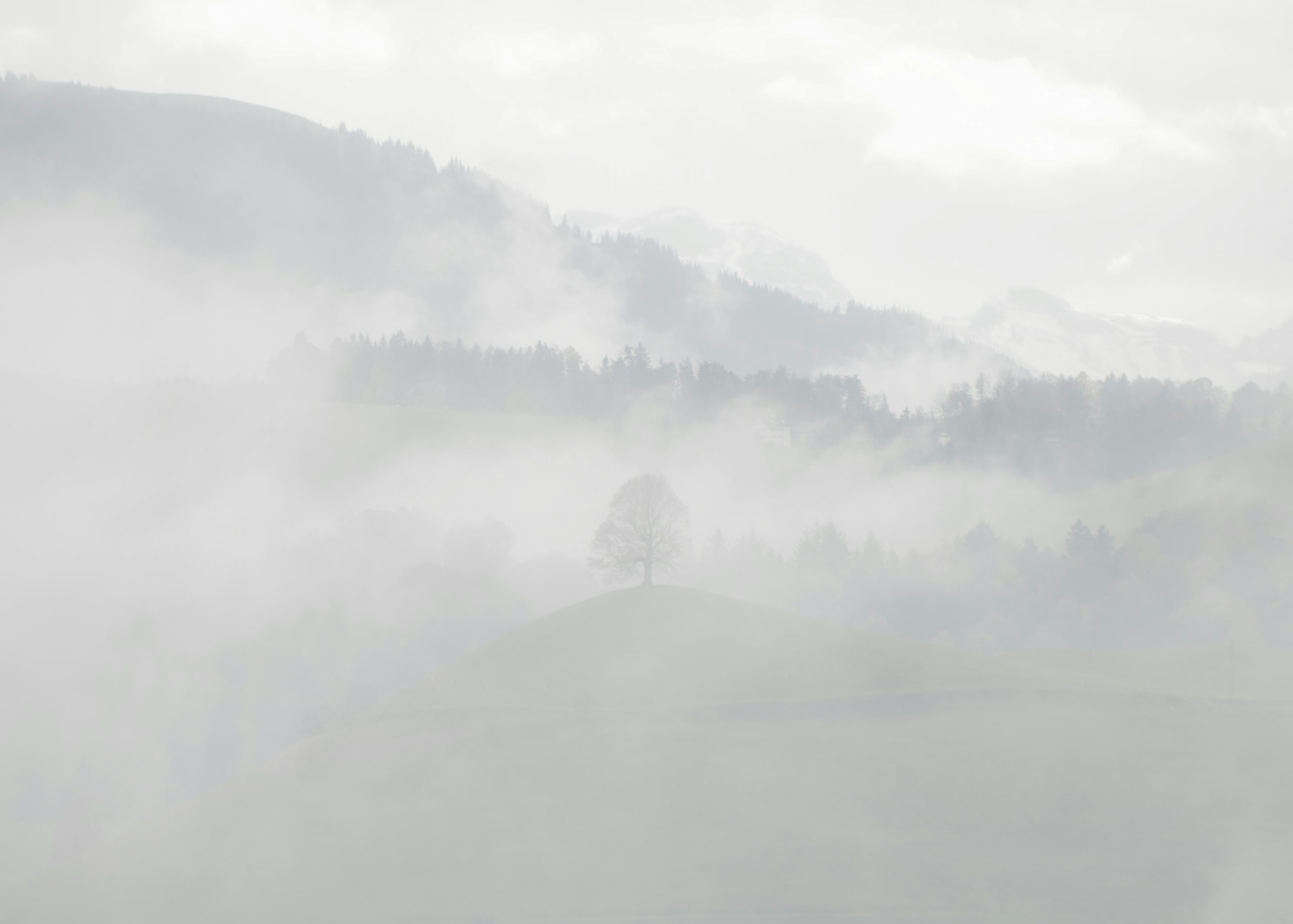 Leben zwischen Düren & der Eifel